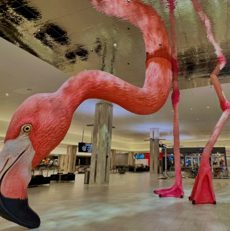 TPA x Home: Why TPA Will Always Feel Like Home